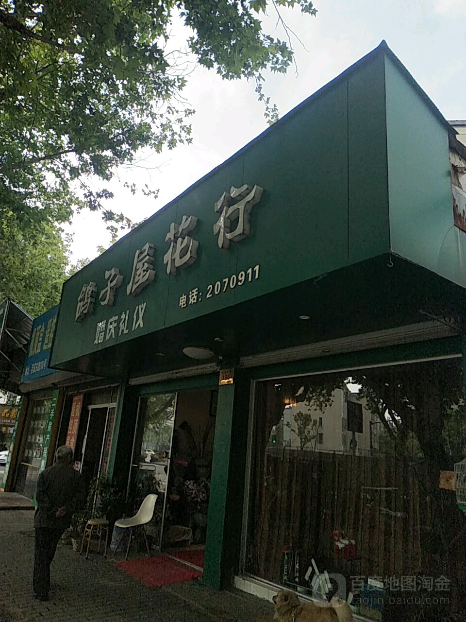鸽子屋花行