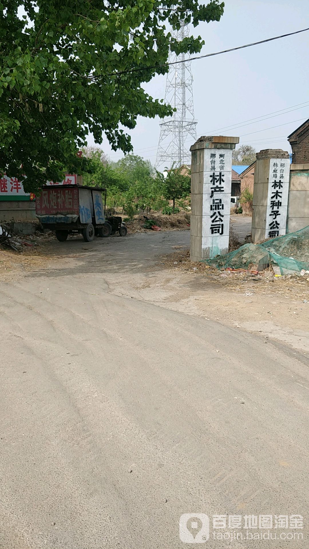 子林村地名網_河北省邢臺市新河縣新河鎮子林村資料簡介