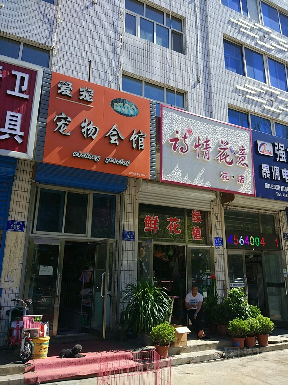 诗情花意花店