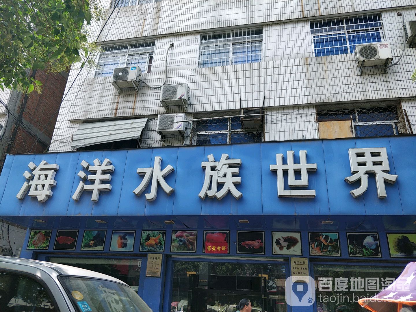 海洋水族世界(淅川店)