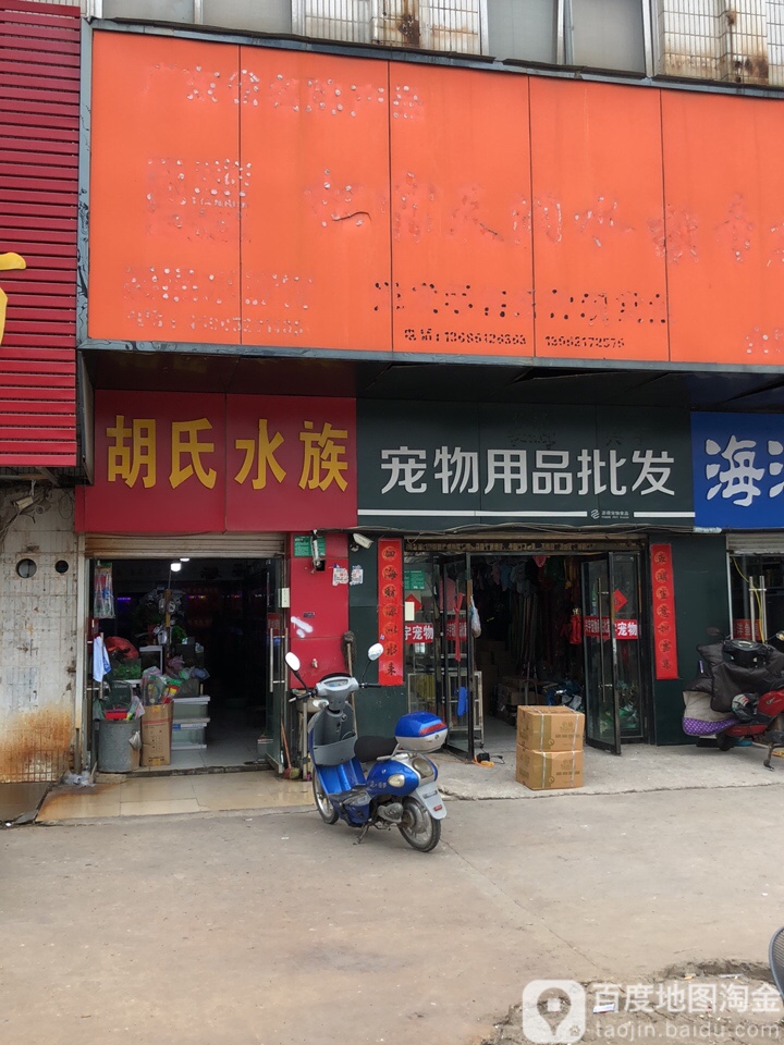胡氏水族