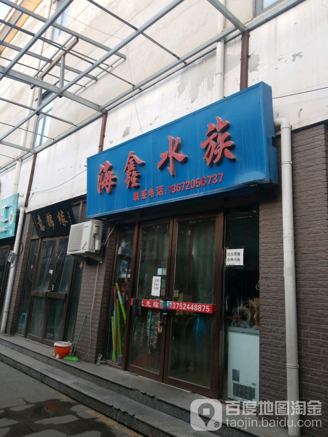 鼎新水族