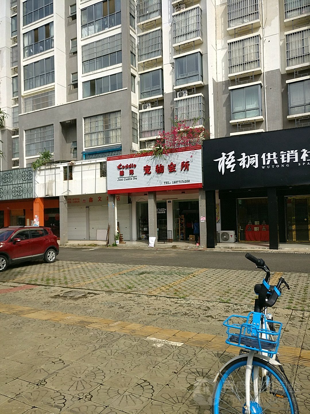 酷兜宠物会所(崇左市直小区店)