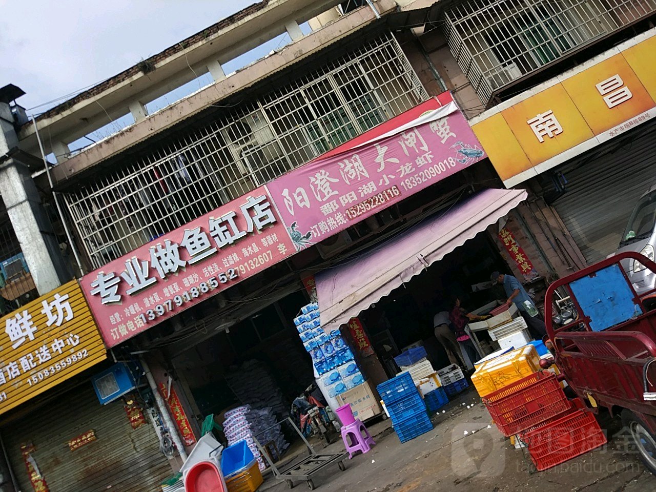 专业做鱼缸店