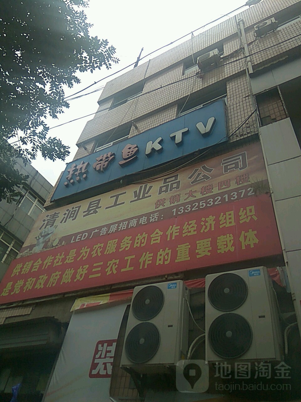 热带鱼KTV