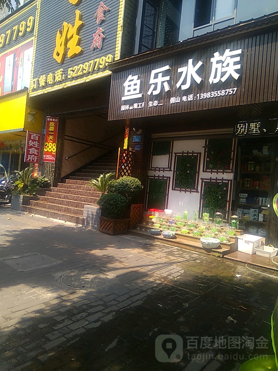 鱼乐水族