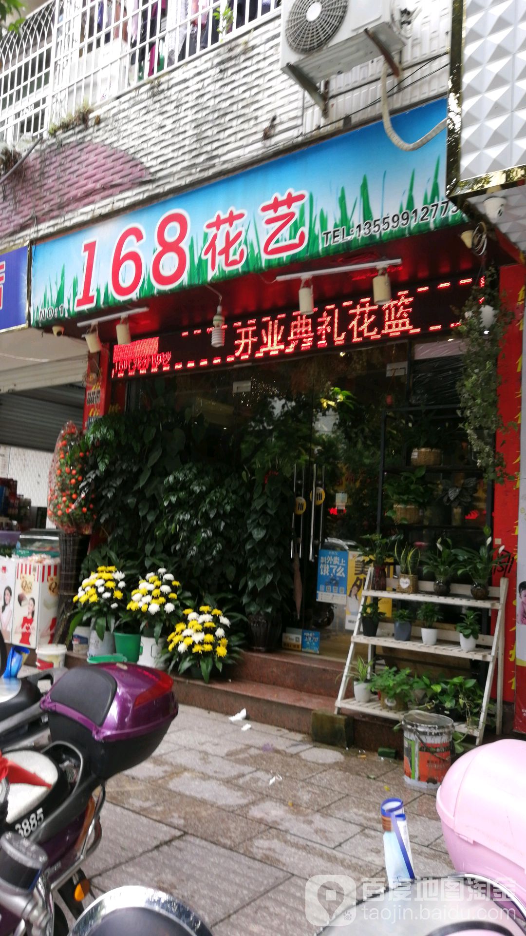 168花艺(霞浦县分店)