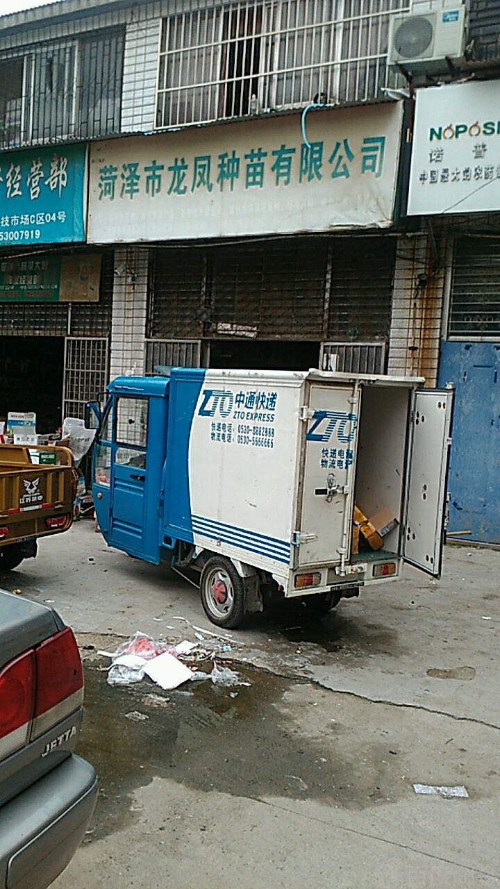 龙凤种子(温州直营店)