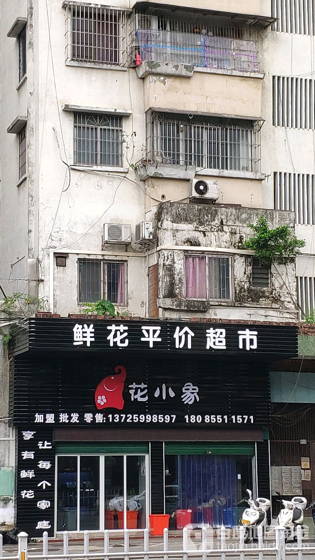 花小象鲜花平价超市(建设路店)