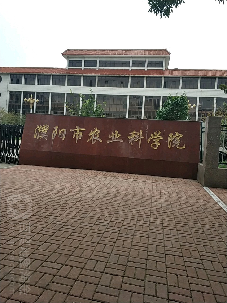 濮阳市农业科学院