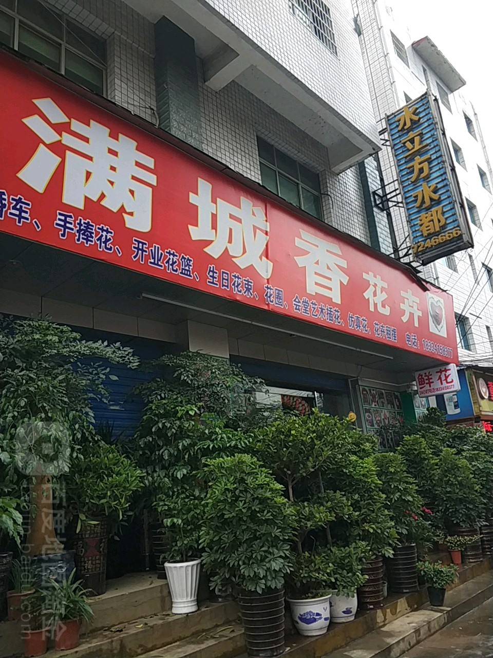 满城香花卉
