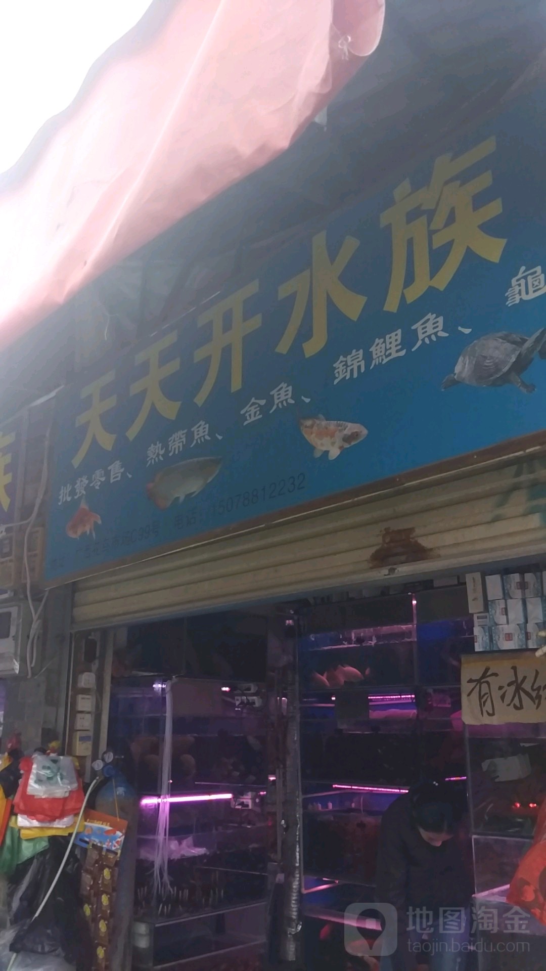 天天开水族