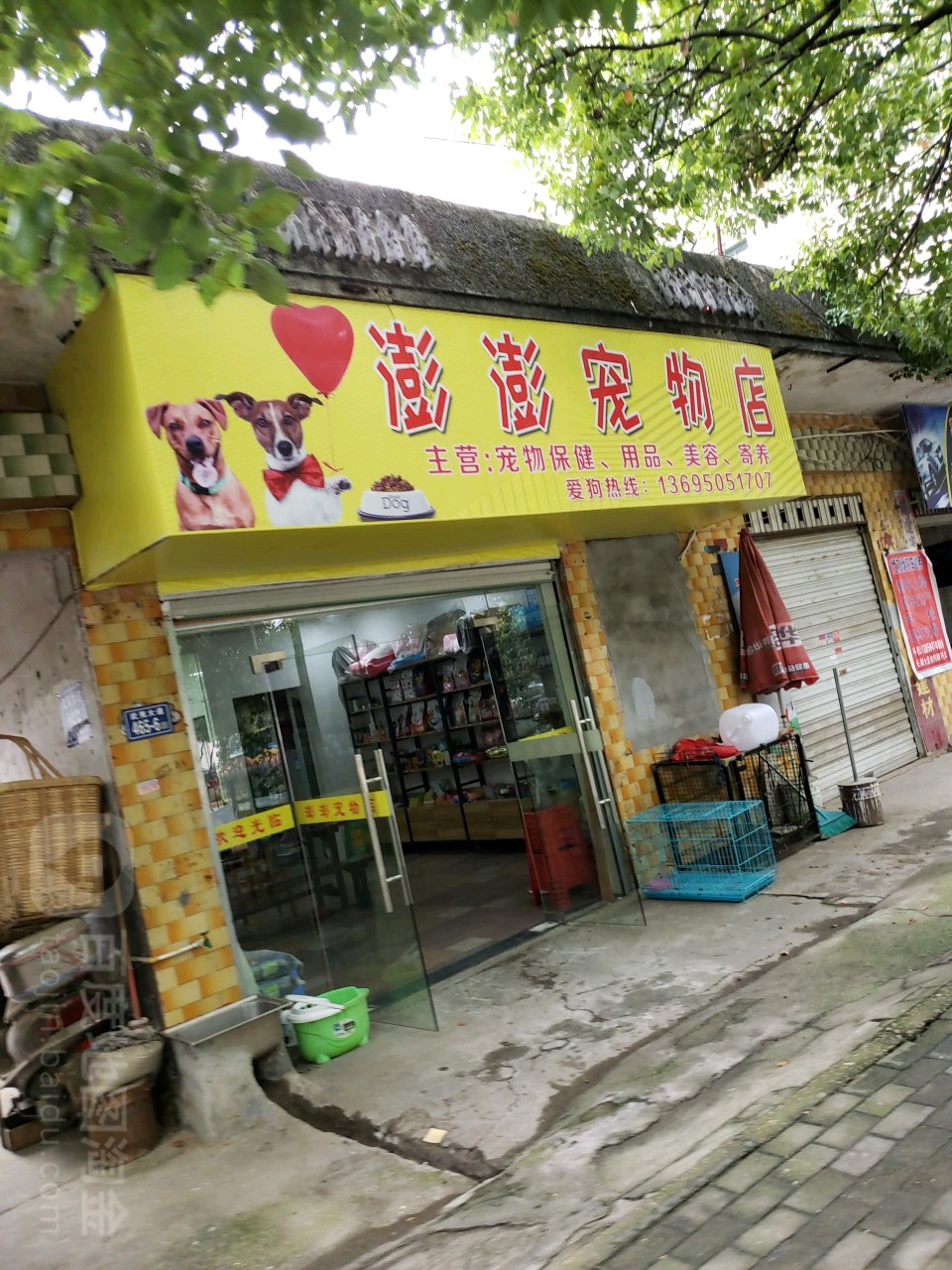 澎澎宠物店