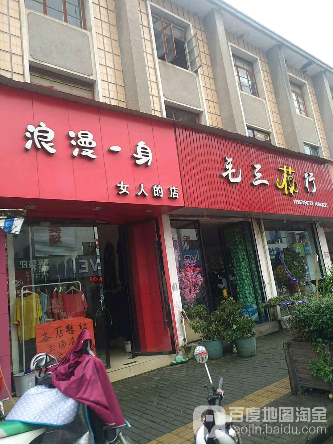 毛三花行