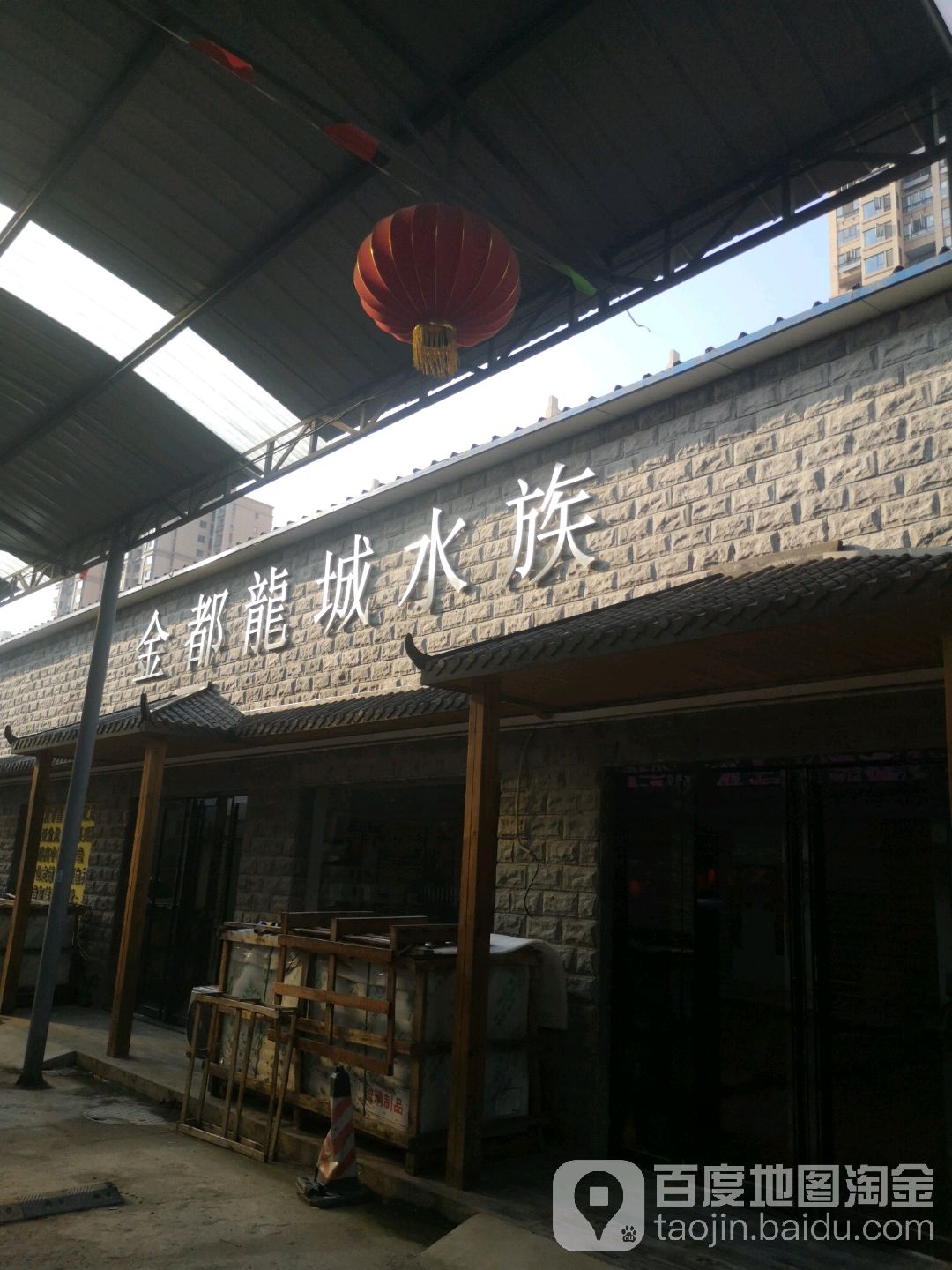 金都龙城水族