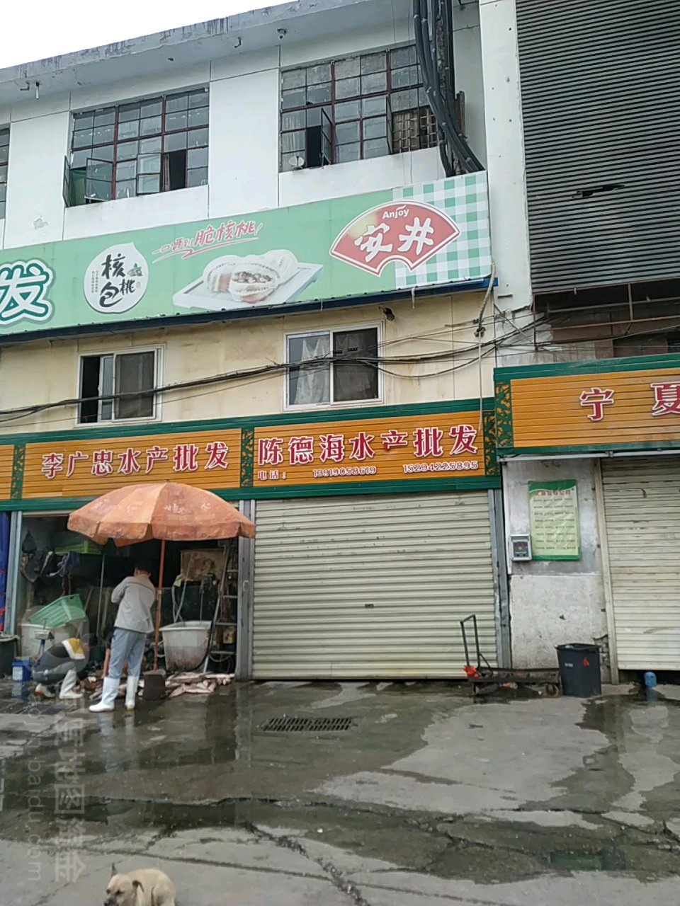 陈德海水产批发