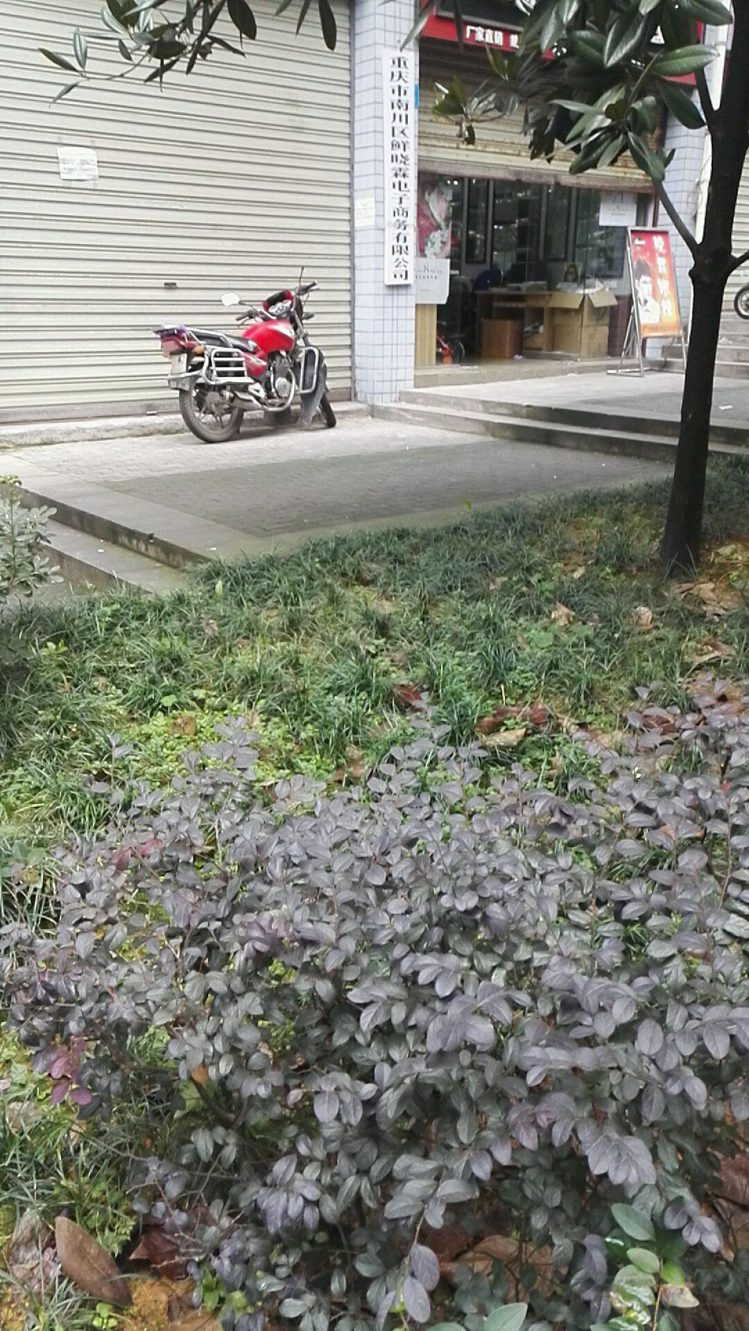 重庆市南川区鲜晓霖电子商务有限公司