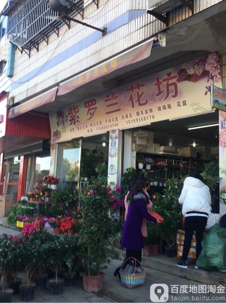 紫罗兰花坊(河滨南路店)