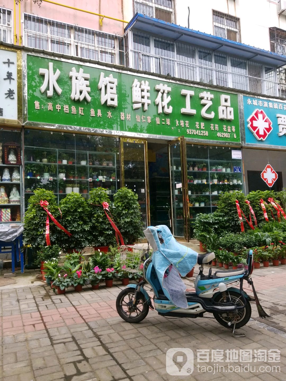 水族馆鲜花工艺品(水族馆店)