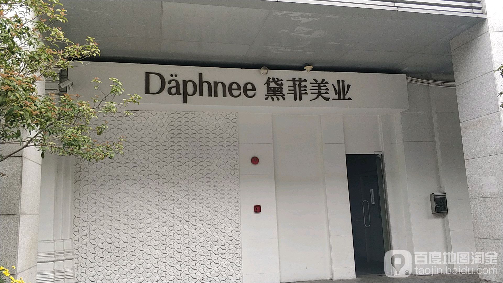 黛菲美容连锁·至尊会所