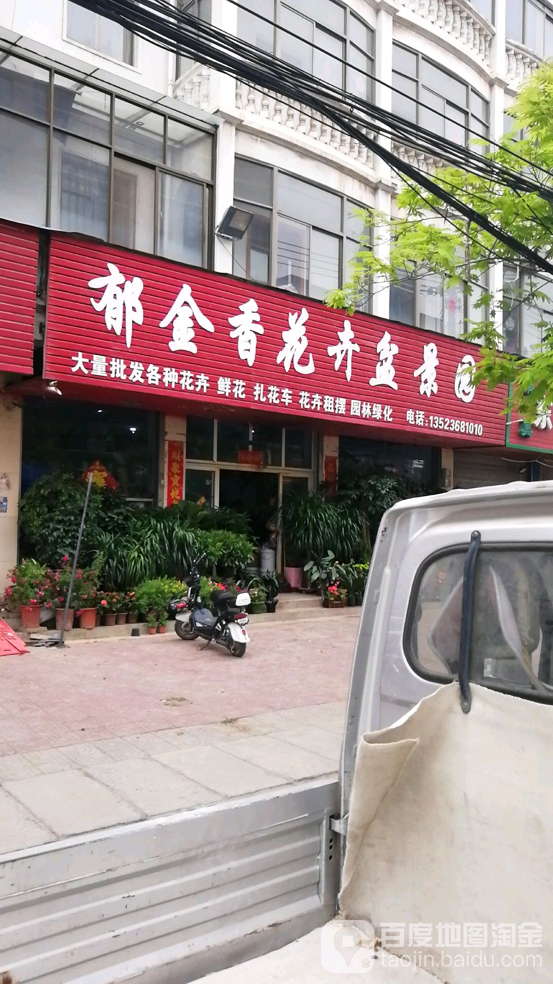 沈丘县槐店回族镇郁金香花卉盆景园