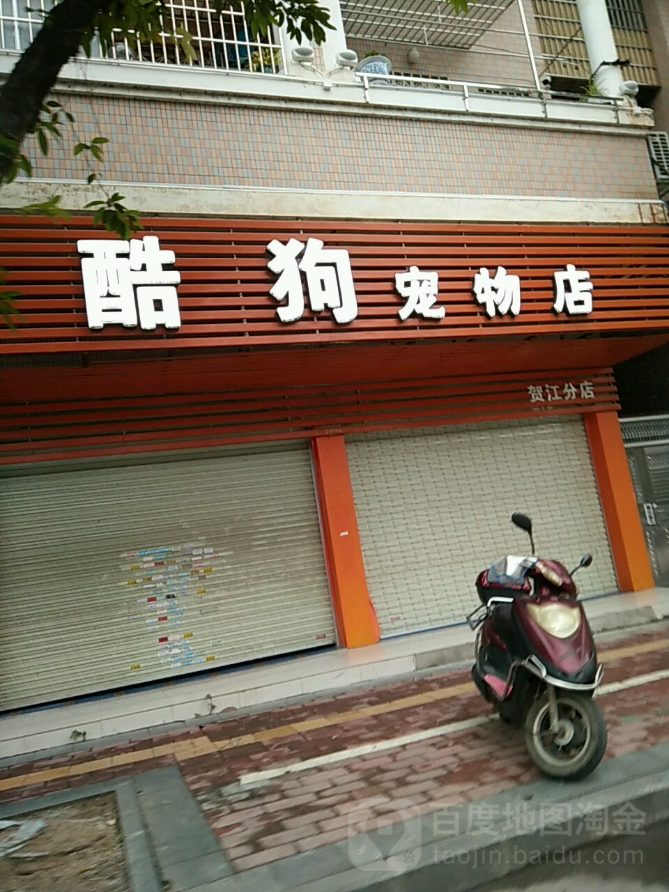 酷狗萌宠物店(贺江分店)