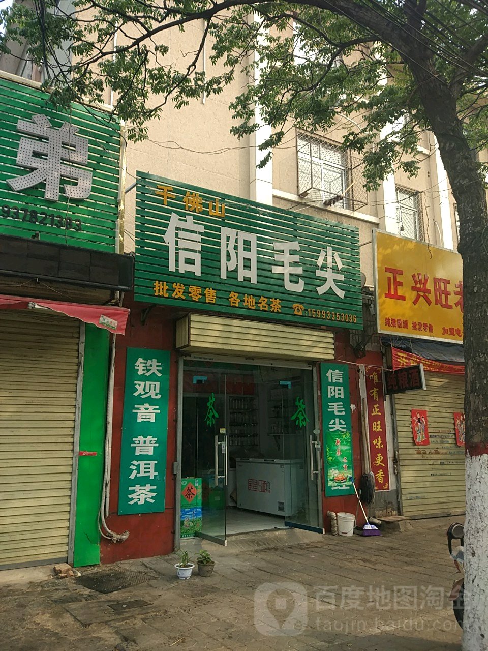 信阳毛尖(油坊街店)