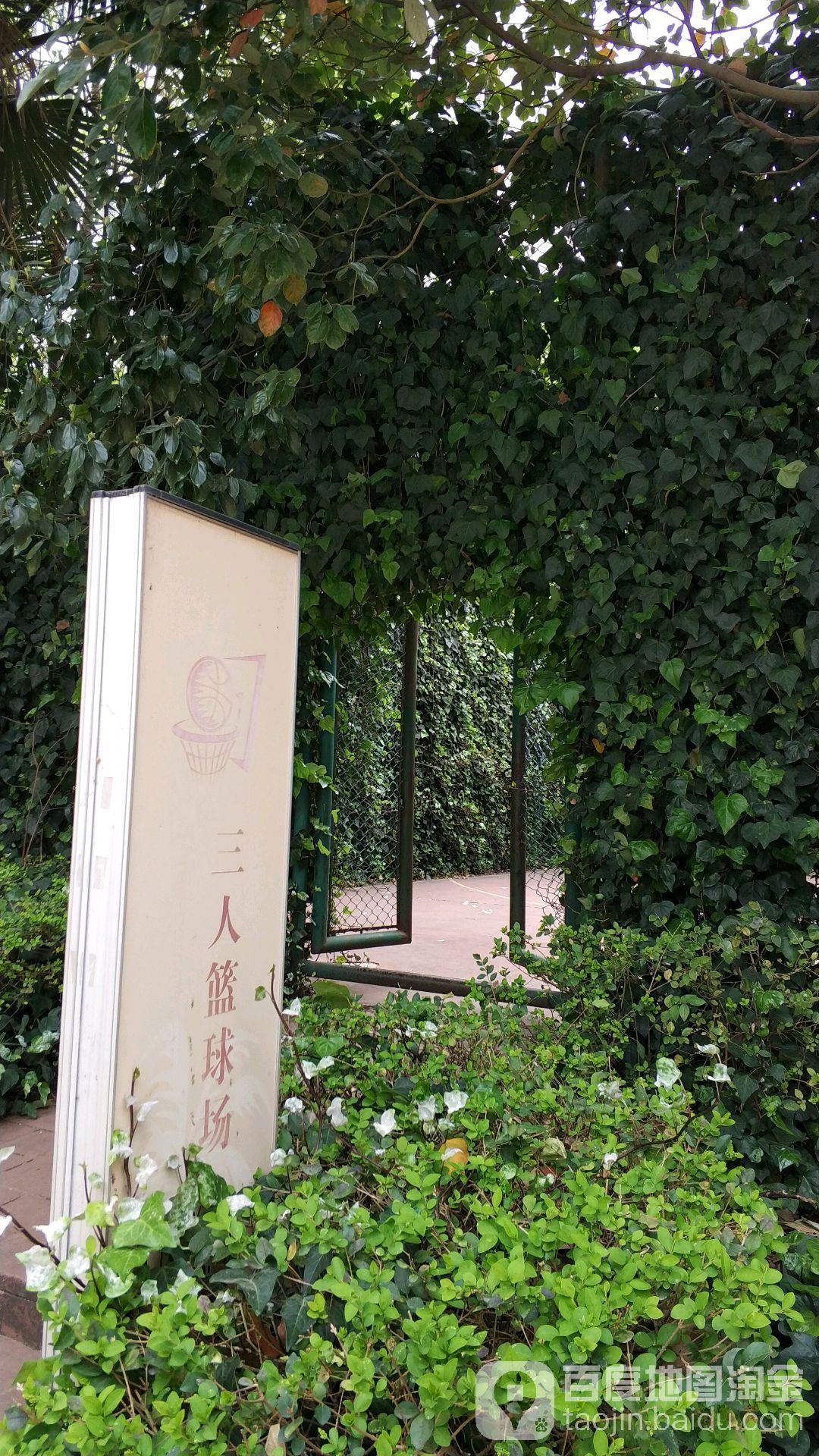 三人住篮球场