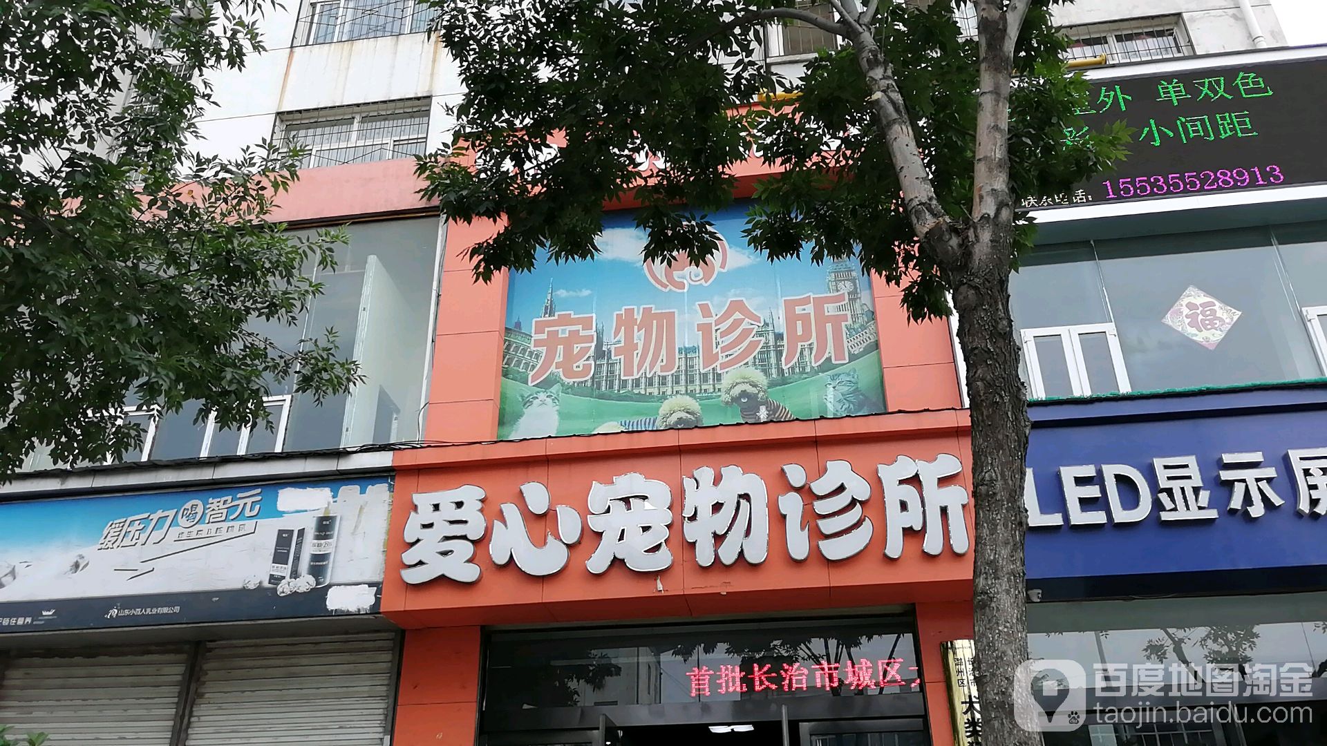 爱心宠物店(府后东街店)