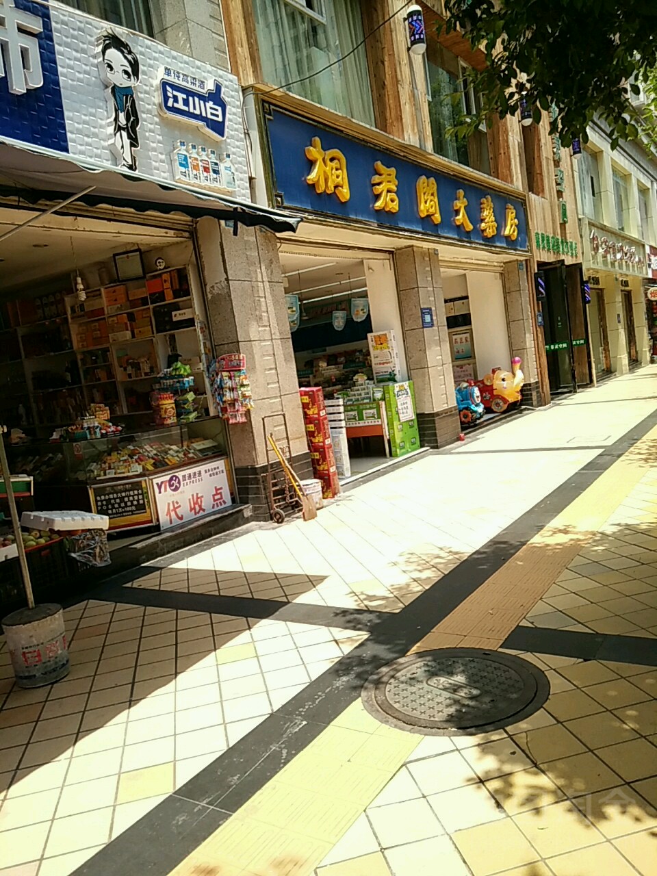 桐君阁大药房买(桃源北路店)