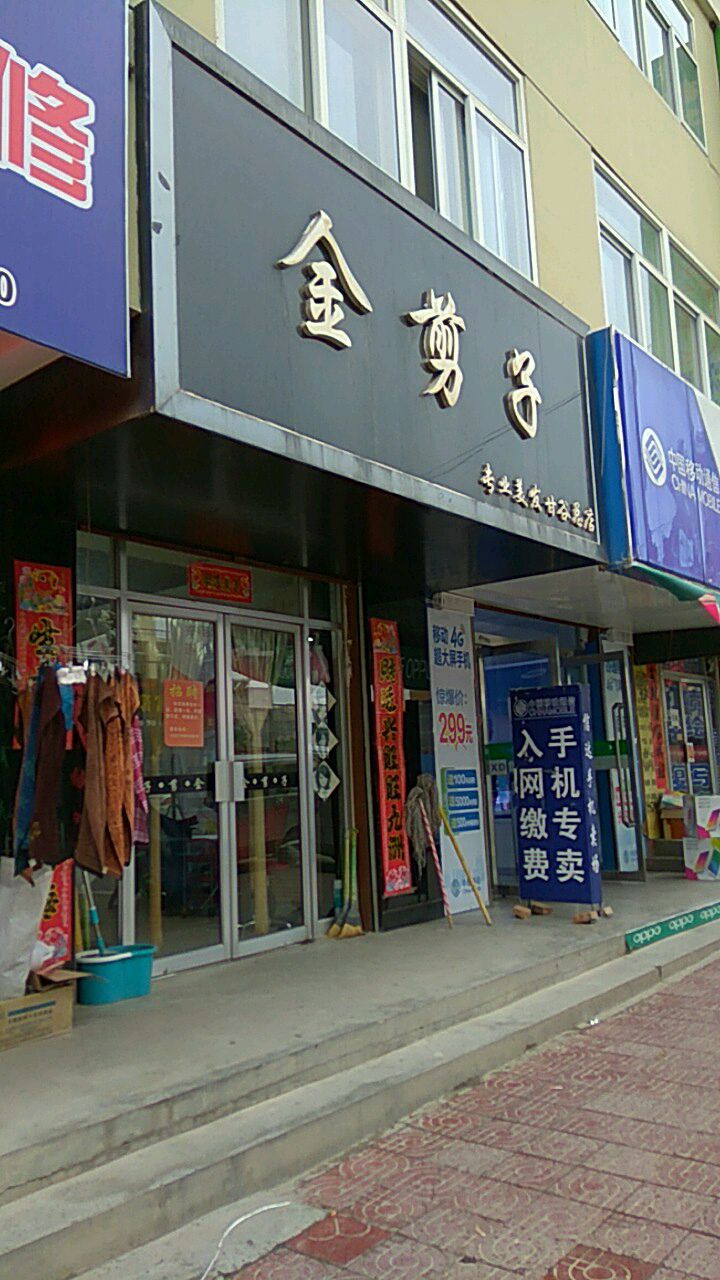 金剪子专业美发(甘谷总店)