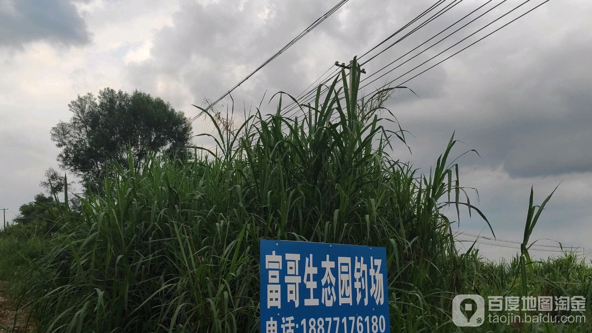 富哥生态园钓场