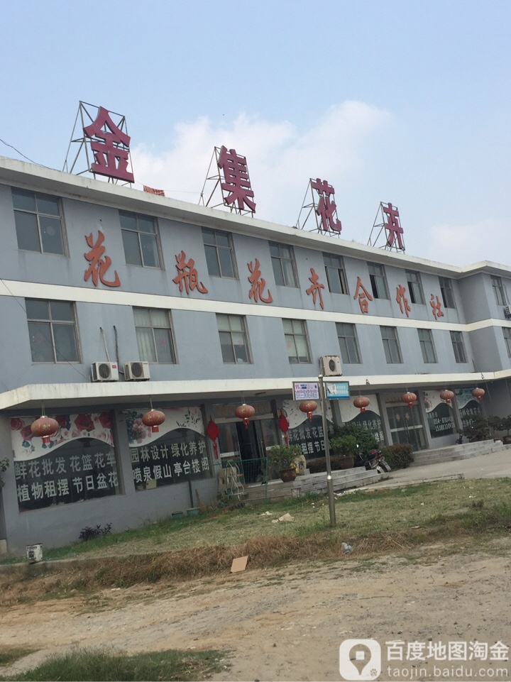 金集花卉