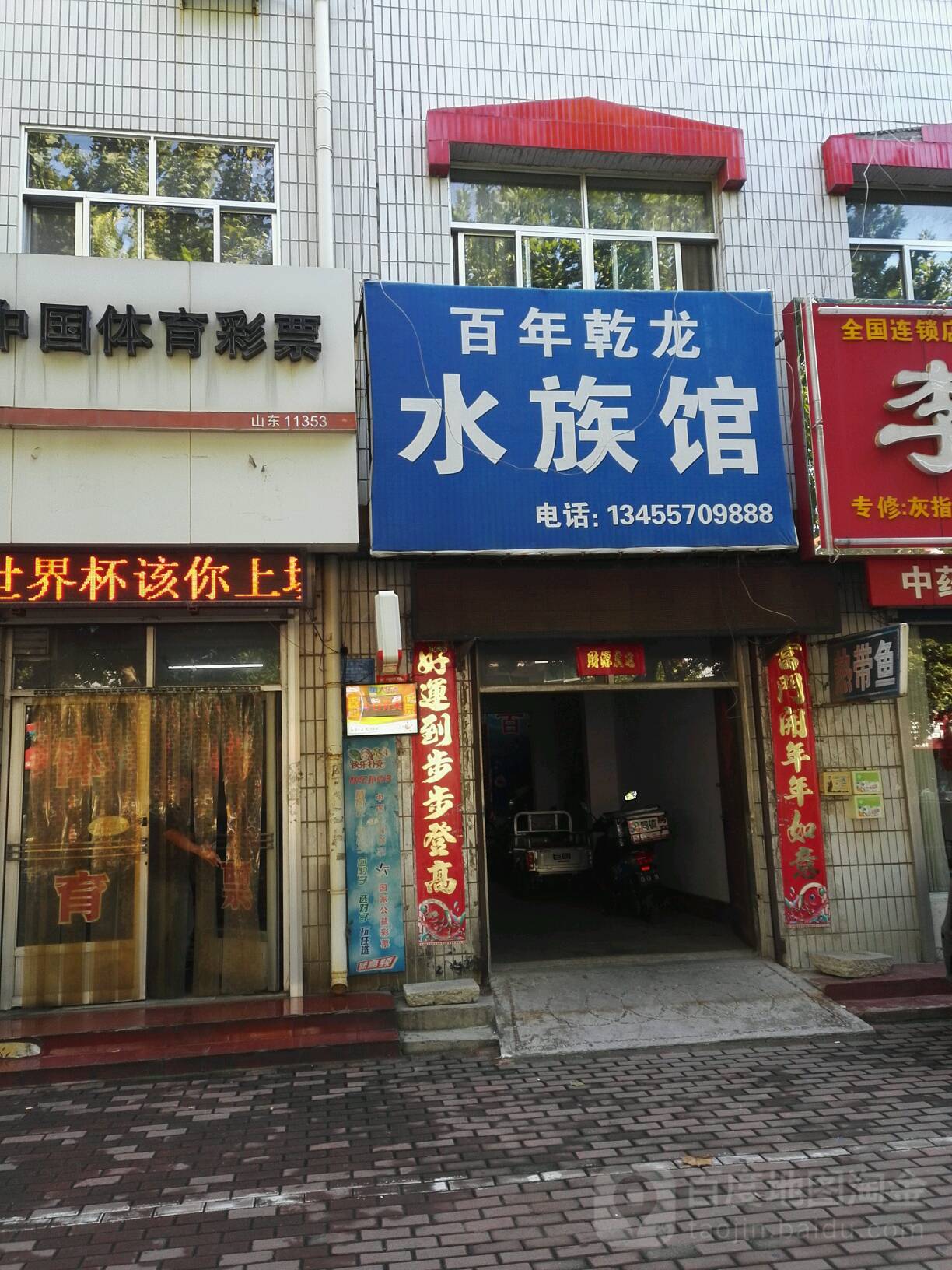 百年乾龙水族馆