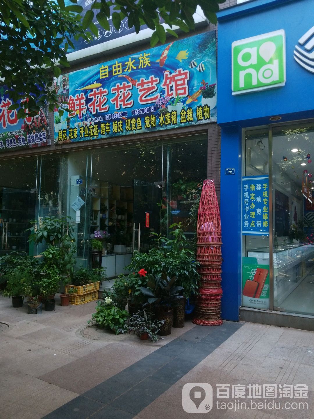 自由水族鲜花花一馆