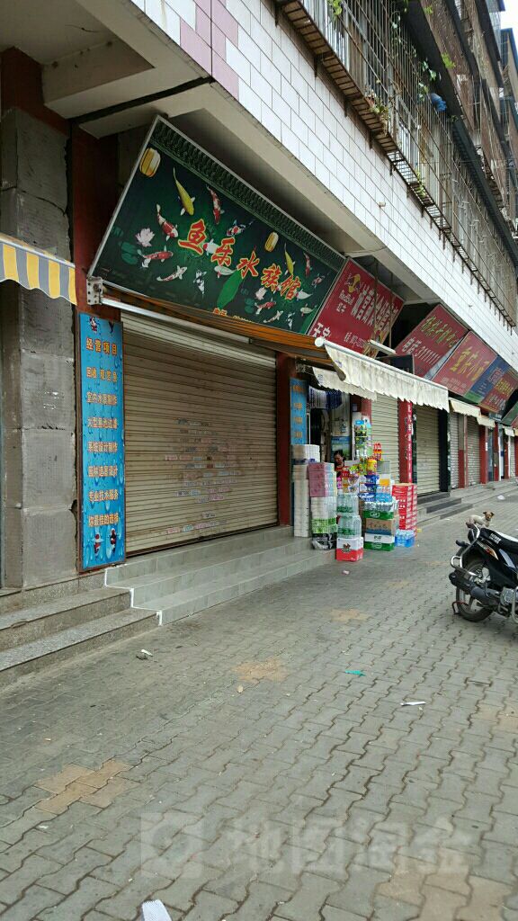 鱼乐水族馆(滨雅路店)