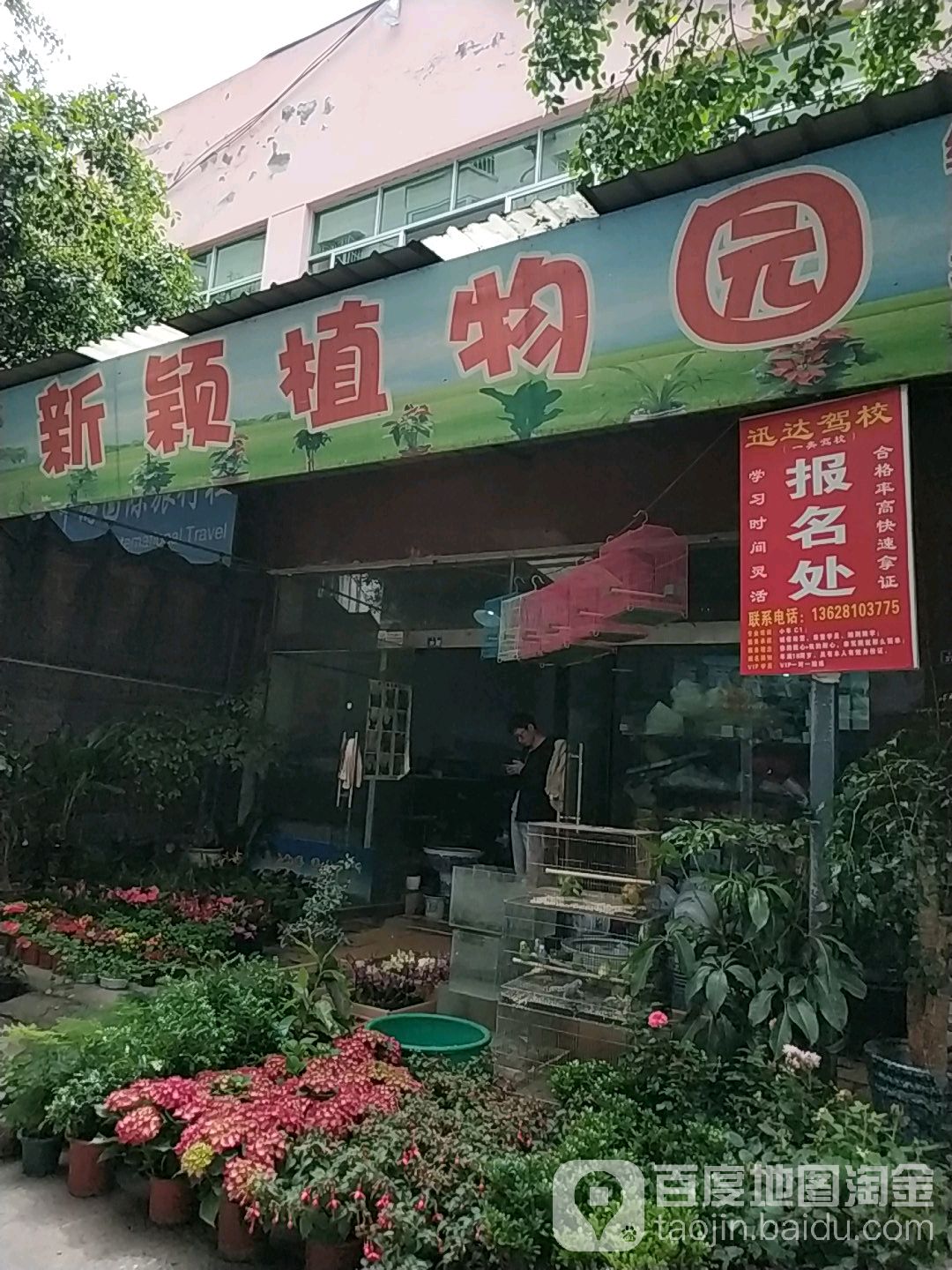 新颖植物园