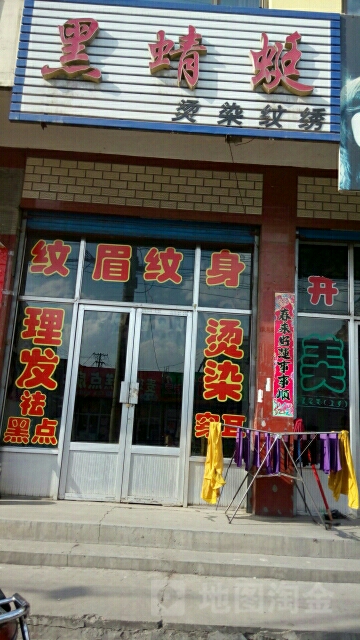黑蜻蜓烫染纹绣