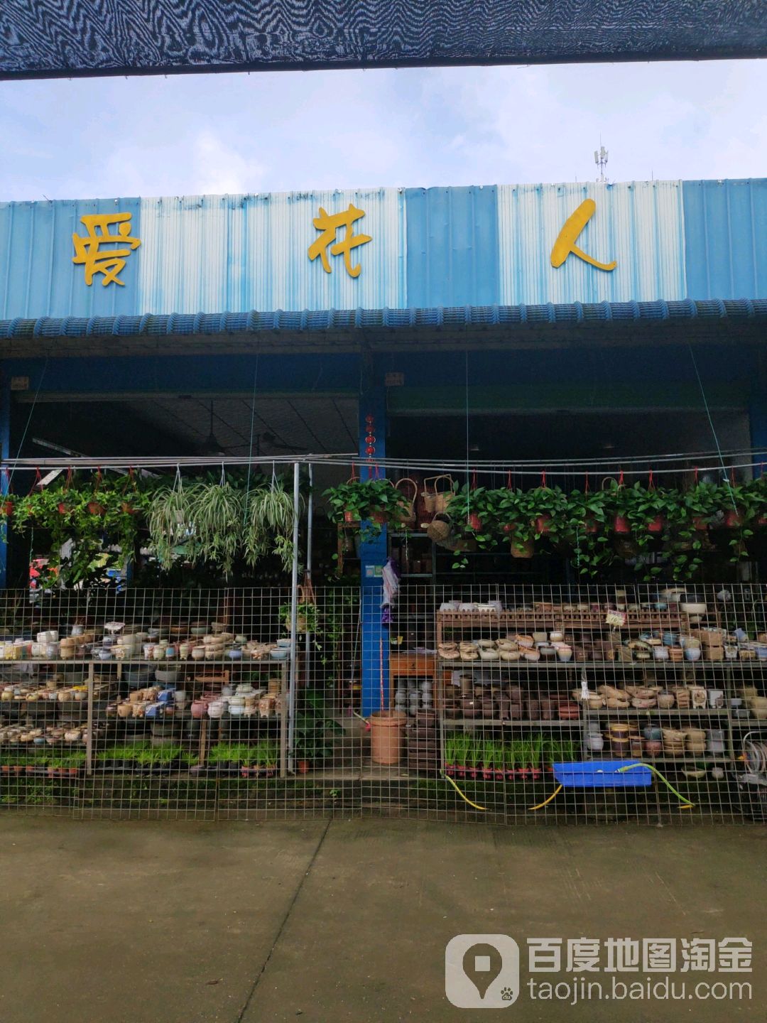 爱花人(花鸟市场1290店)