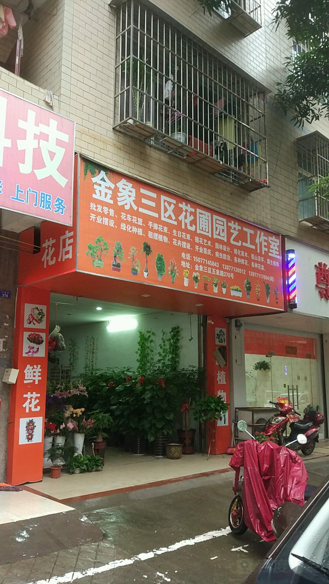 三区花圃