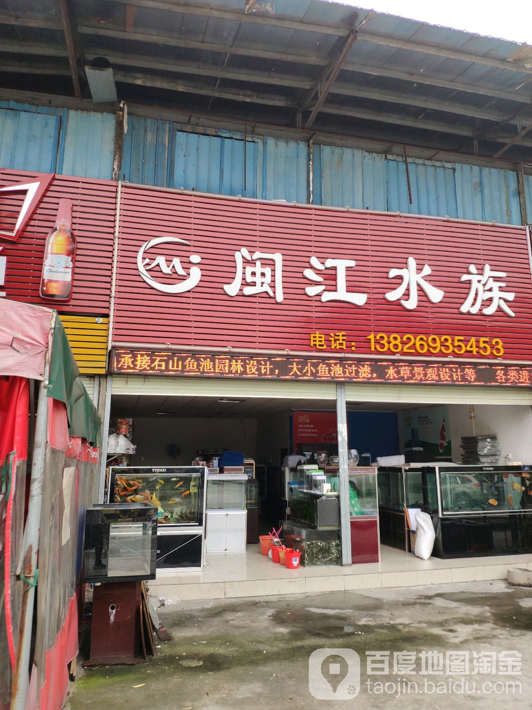 闽光水族(东莞总代理高埗店)