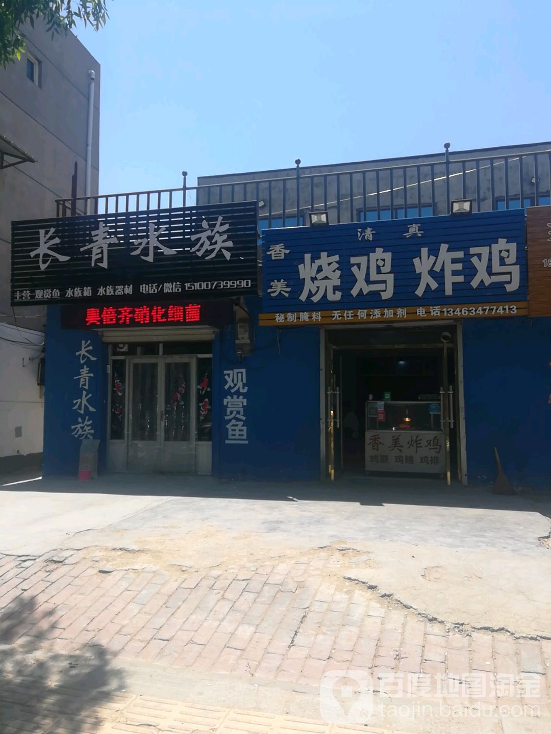 常青水族