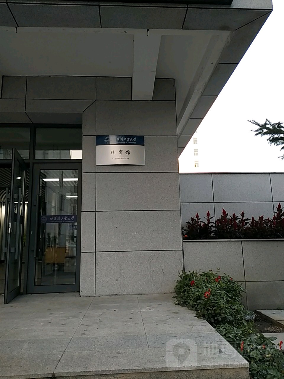 哈尔滨工业大学-体育馆