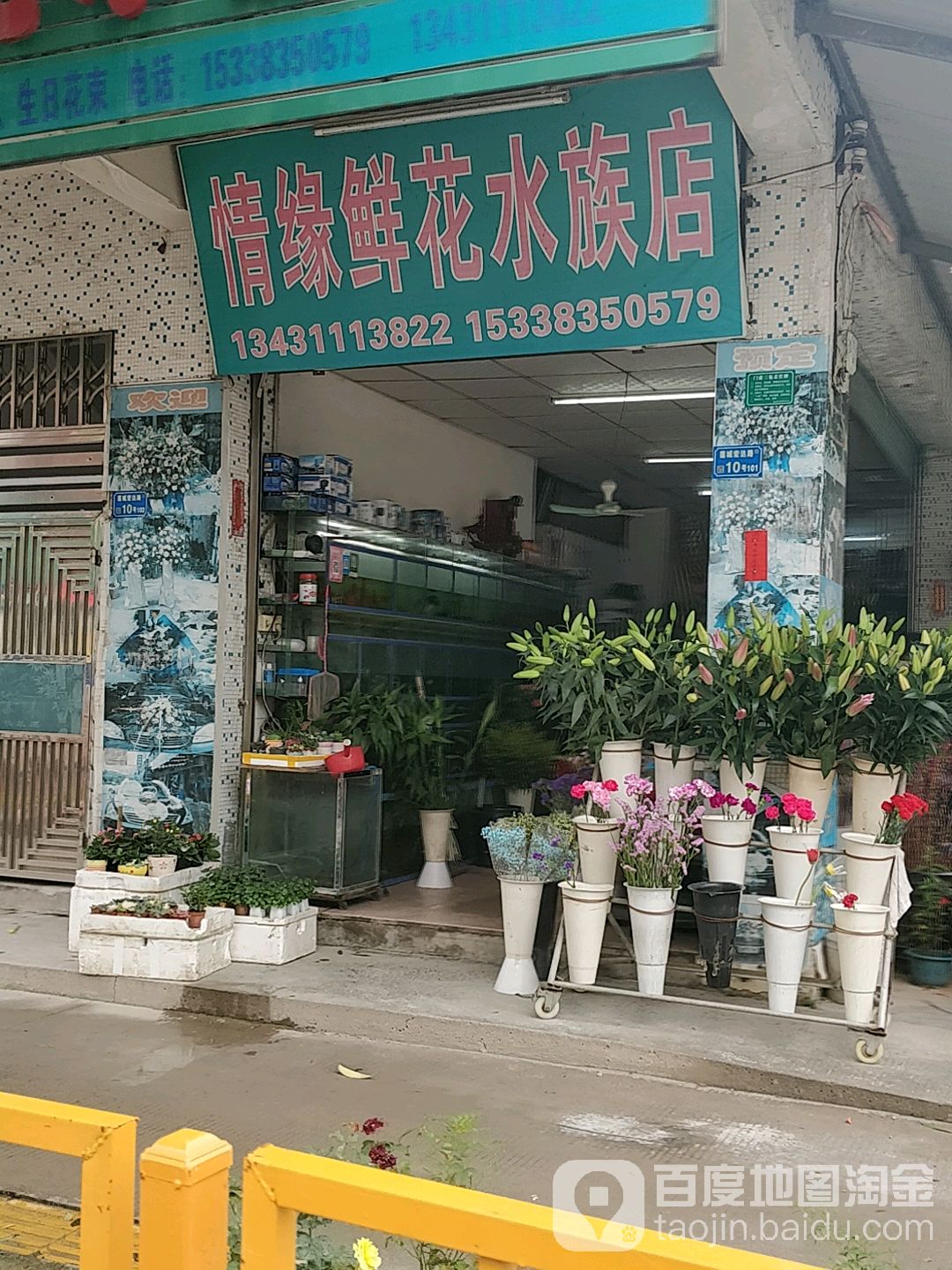 情缘鲜花水族店