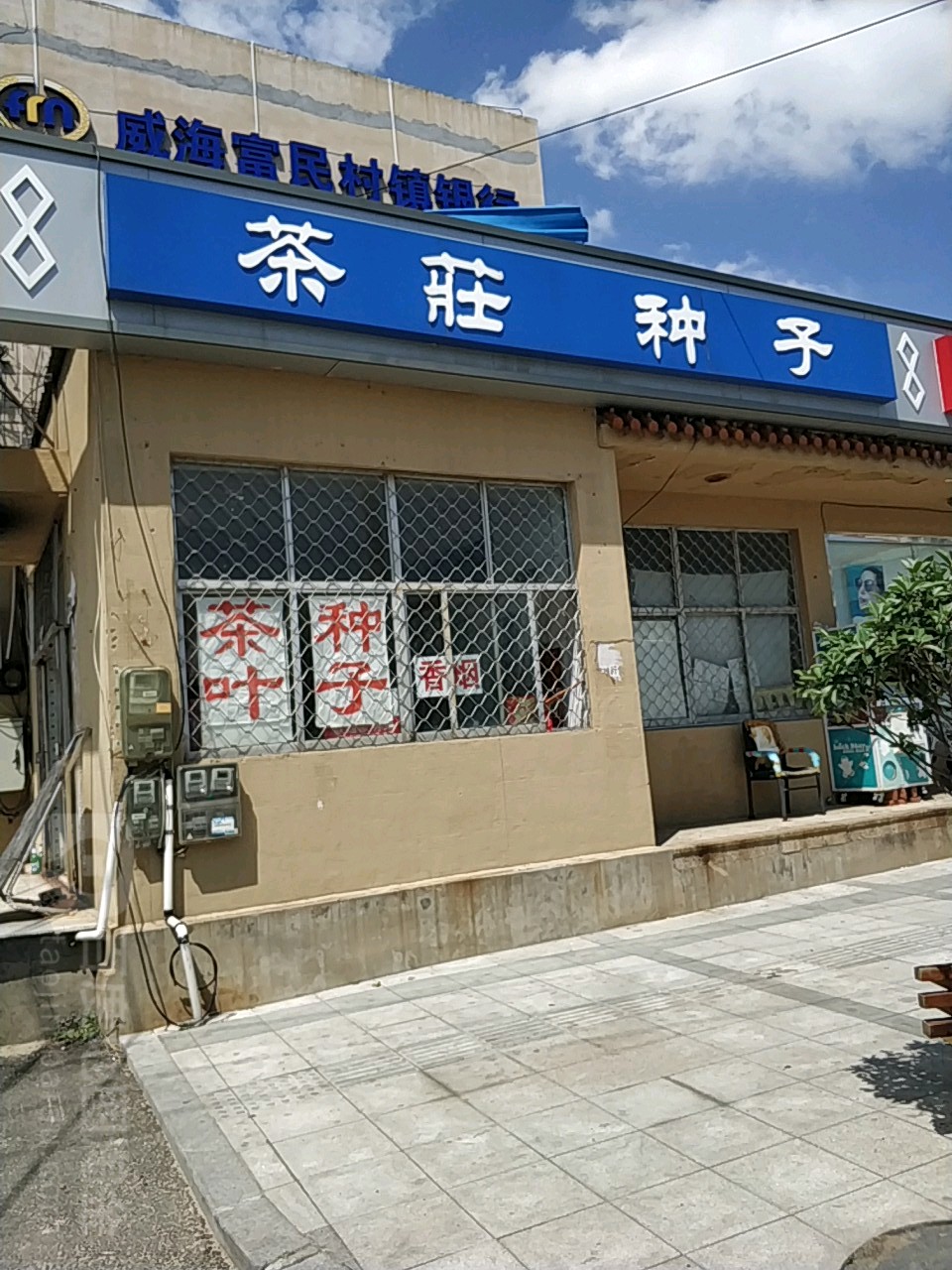 茶庄种子