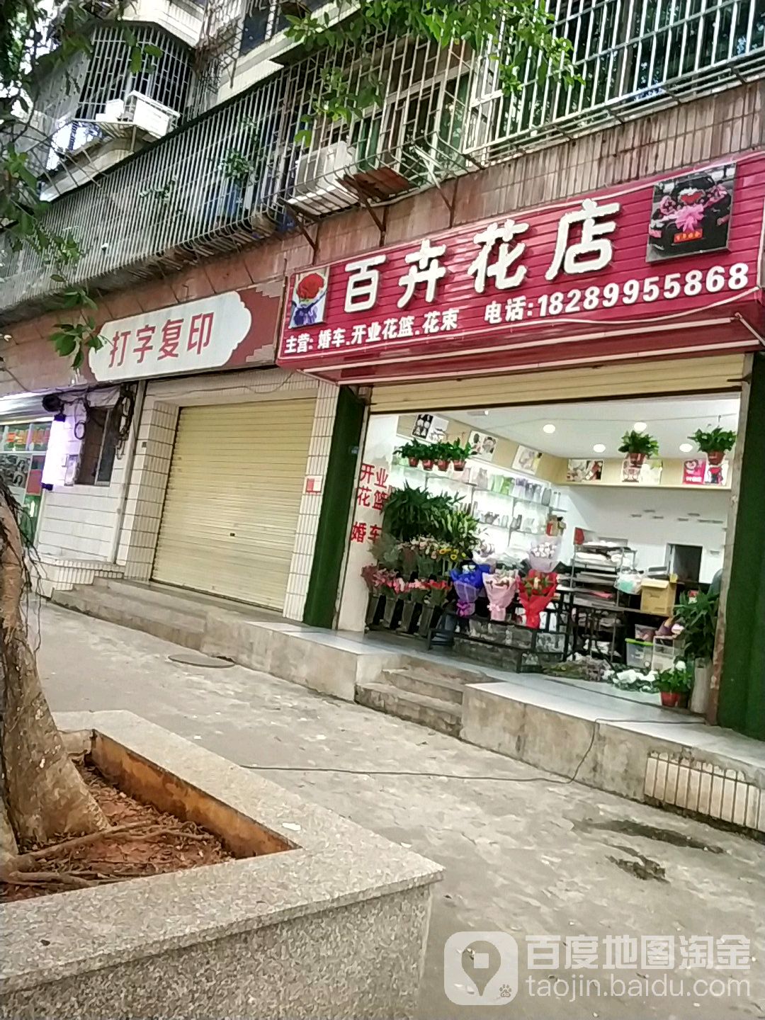 百卉花店(兴丹路店)
