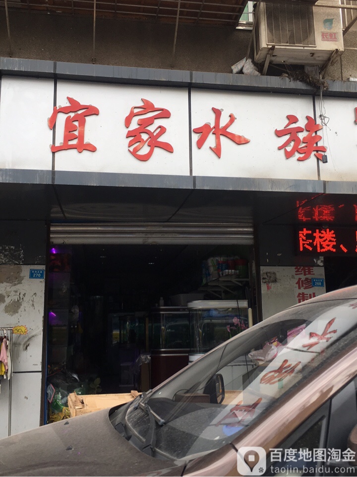 宜家水族