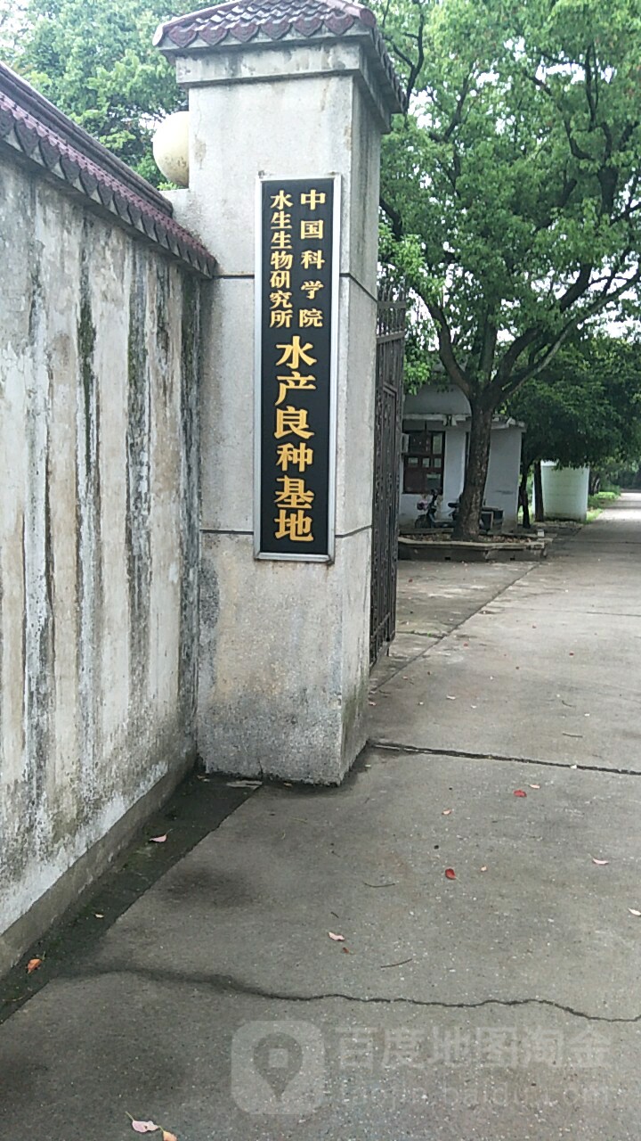 湖北省武汉市洪山区东湖风景区街道(洪山)东湖东路5号(吴家湾邮科院附近)中科院