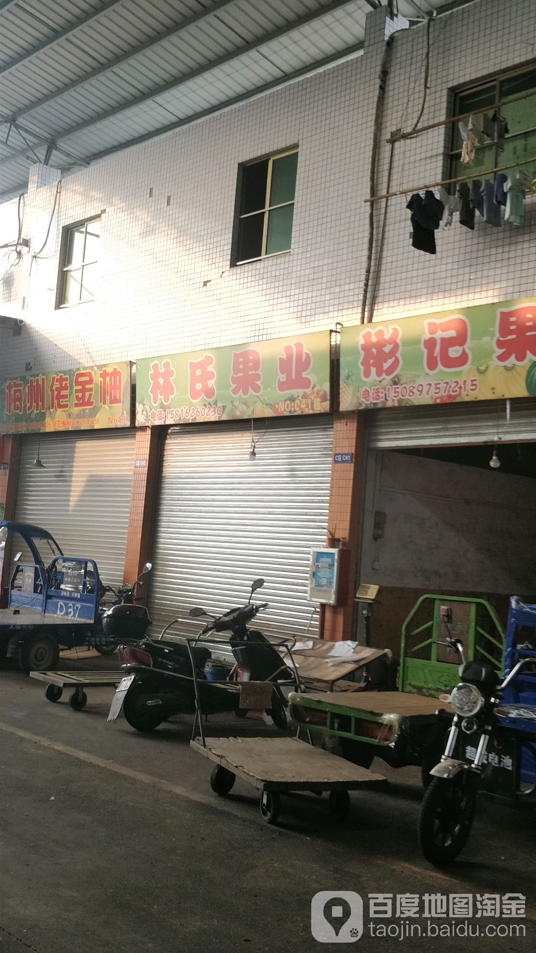 林氏果园(清沙大道店)