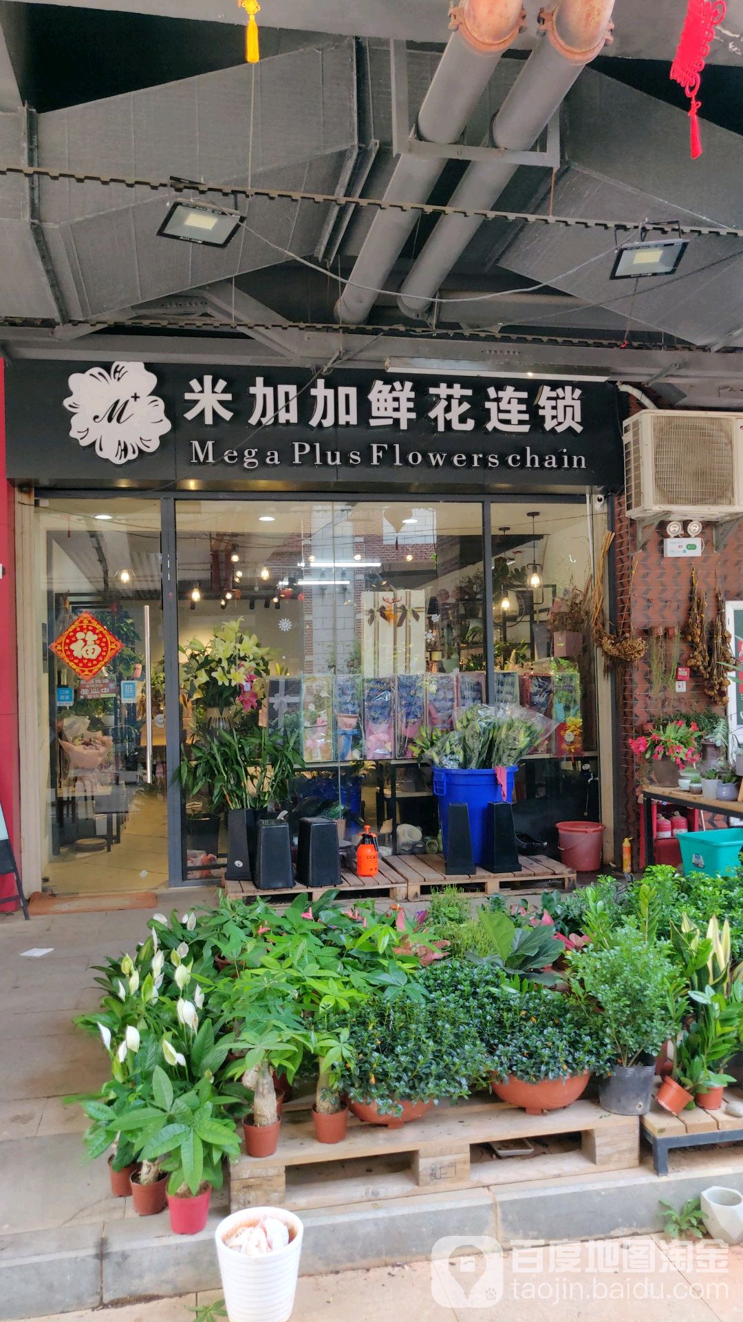 米加加鲜花连锁(五缘湾五通店)